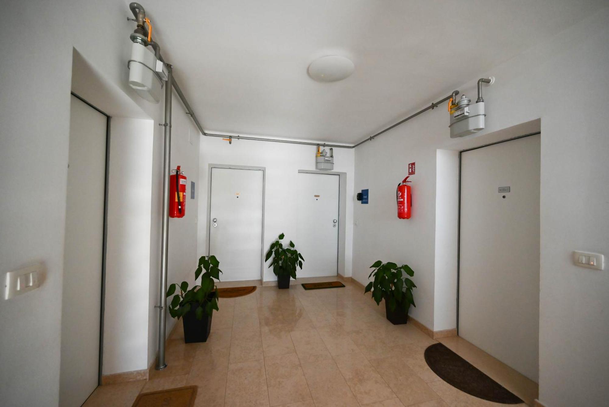 Apartment Emma ロヴィニ エクステリア 写真